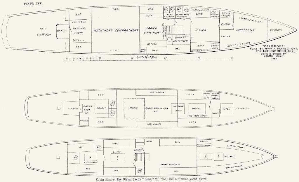 STEAM YACHT CABIN PLAN. 'Primrose' 'Celia', Payne 1891 old antique print